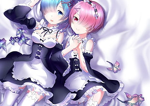 photo of Ram and Rem Maid Re: Zero anime HD wallpaper