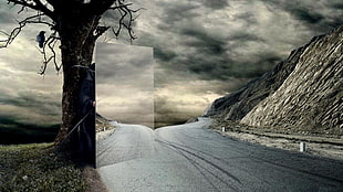 gray concrete road and bare tree, death