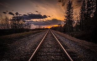 gray train rail, landscape, railway HD wallpaper