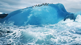 sea wave, ice, penguins, nature, iceberg