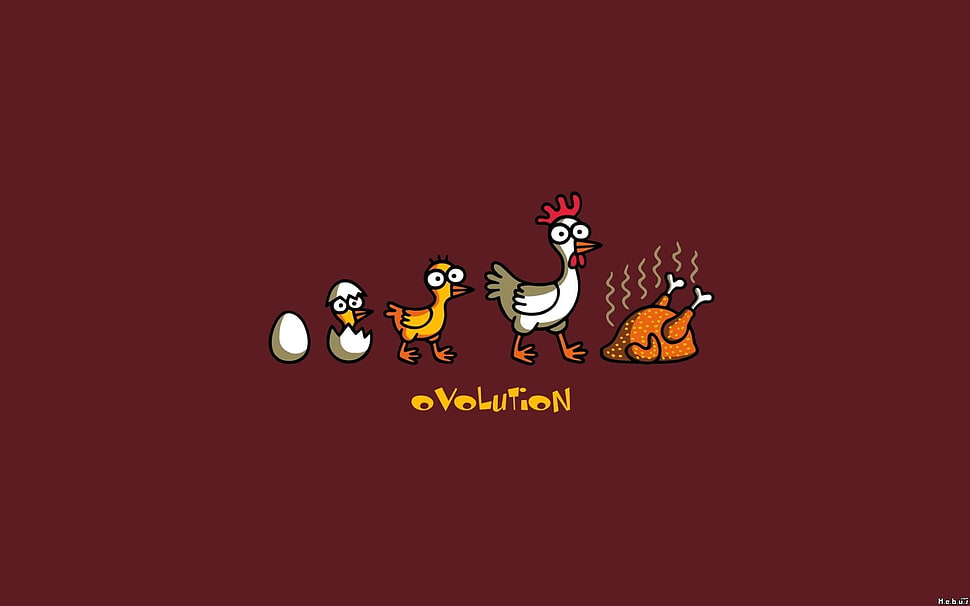 Evolution graphics HD wallpaper