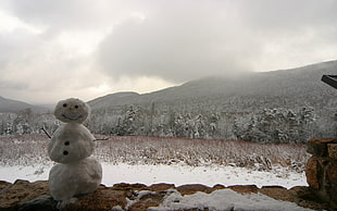 snowman during winter season under clouded sky