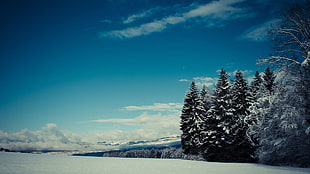landscape photography of snow terrain