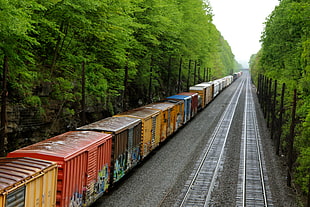 landscape photo of train on reels beside trees