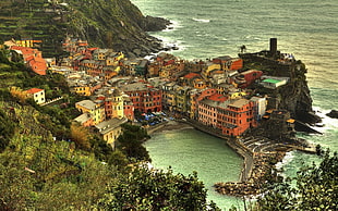 top view of houses, building, Vernazza HD wallpaper