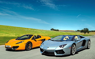two Lamborghini convertible coupes parked near greenfield with blue sky background