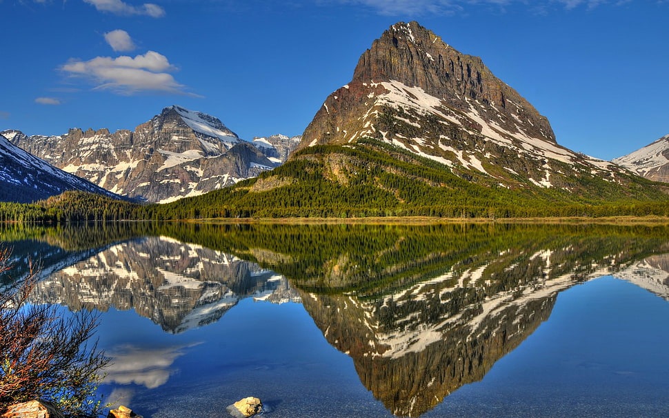 brown and black fish decor, nature, landscape, mountains, reflection HD wallpaper