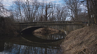 gray concrete bridge, bridge, water