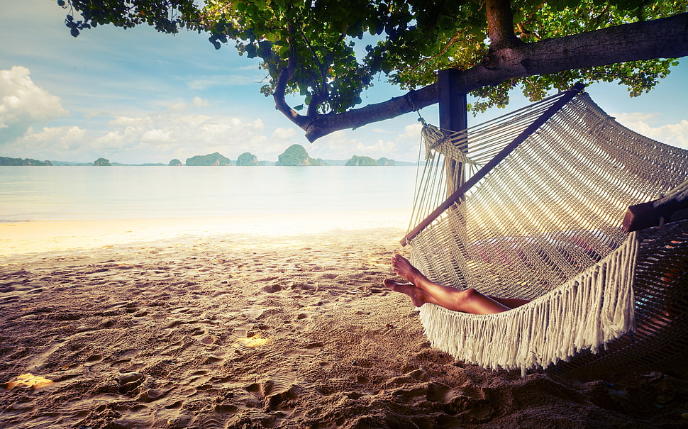White hammock, trees, hammocks, beach, landscape HD wallpaper ...