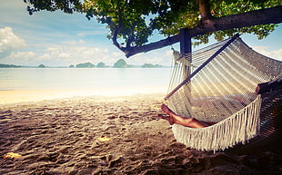white hammock, trees, hammocks, beach, landscape