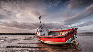 red and white speedboat, sea, boat, sky, vehicle