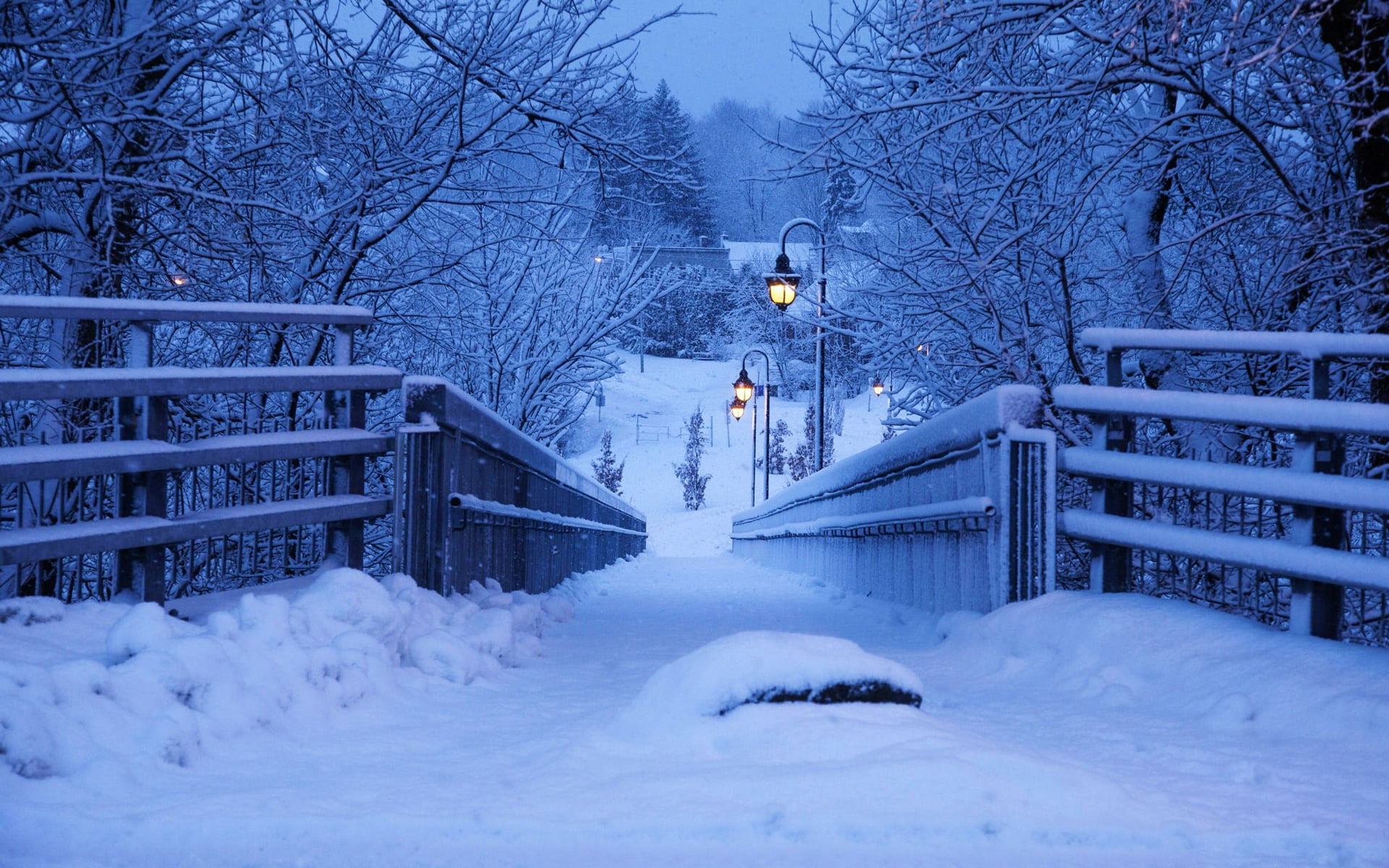 bald trees, winter, snow, landscape, bridge