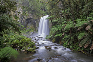 time-lapse photo of waterfall surrounded with trees, hopetoun