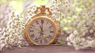 selective focus photography of gold-colored pocket watch with Eiffel Tower phase surrounded by white flowers