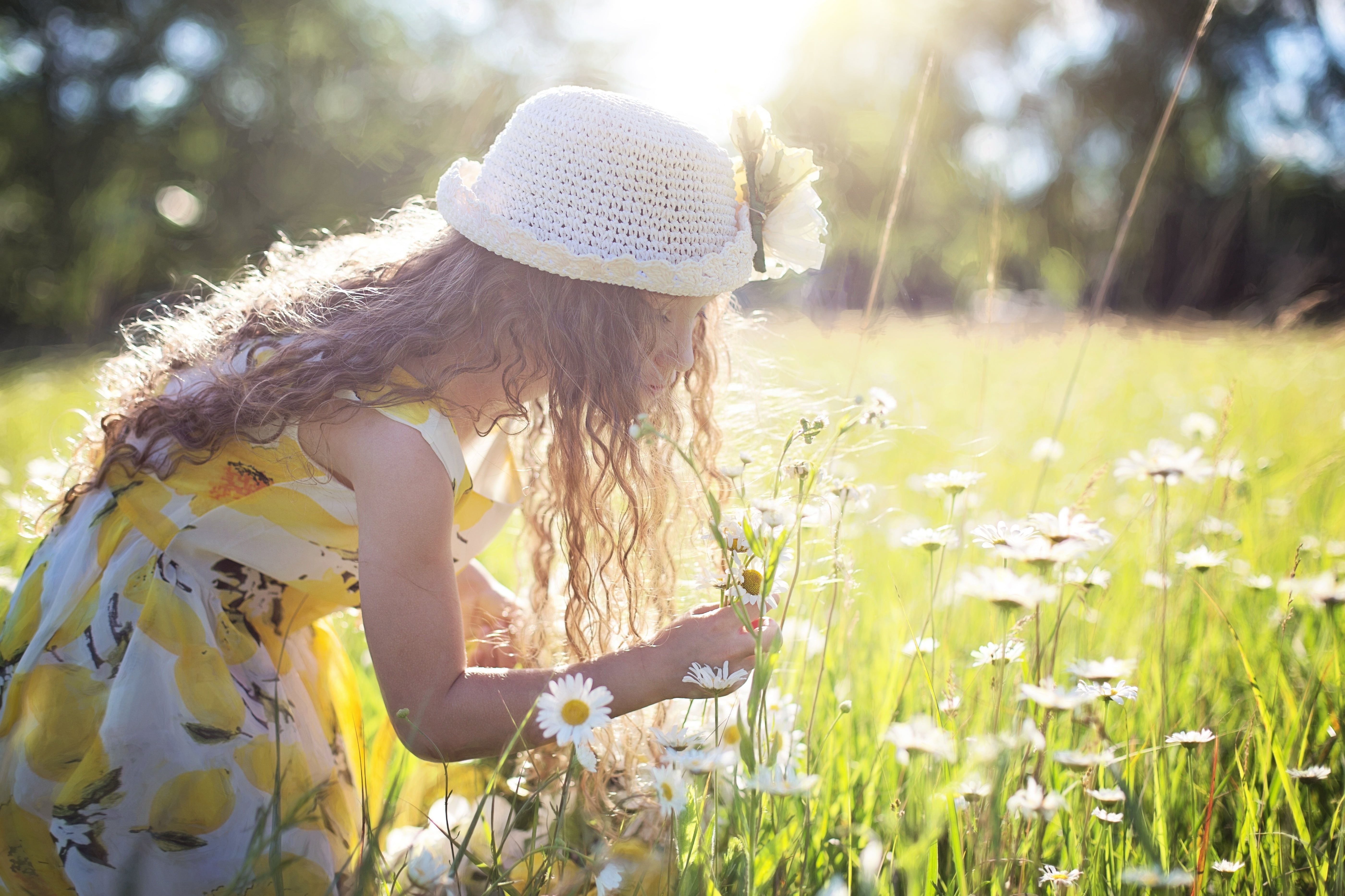 Are you picking flowers at the moment. Девушка с ромашками. Девочка в поле. Девочка в ромашках. Девочка в поле с цветами.