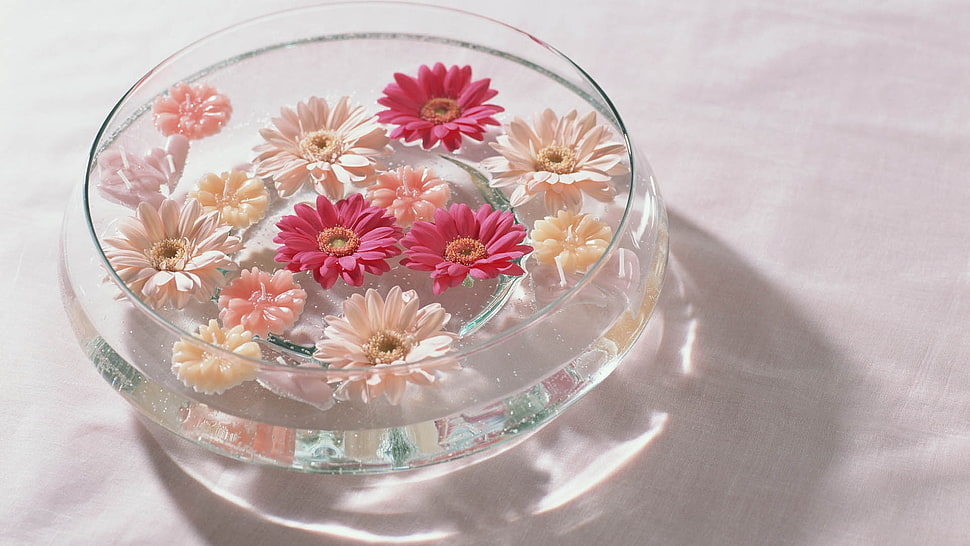 round clear glass floral bowl HD wallpaper