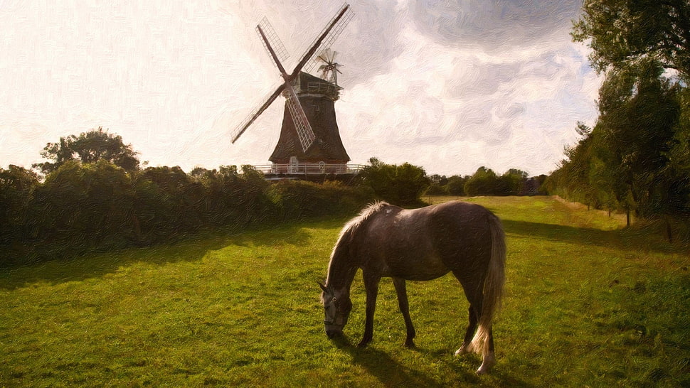 brown and white horse, oil painting, windmill, horse, landscape HD wallpaper