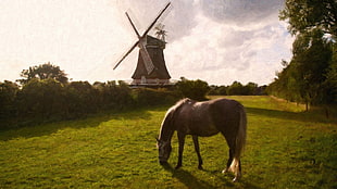 brown and white horse, oil painting, windmill, horse, landscape
