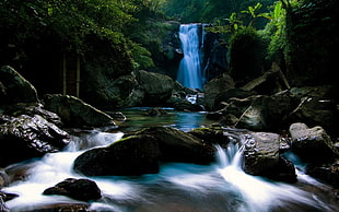 waterfalls with rocks, waterfall, rock, river, forest HD wallpaper