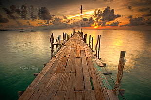 brown wooden dock on the lake graphic wallpaper