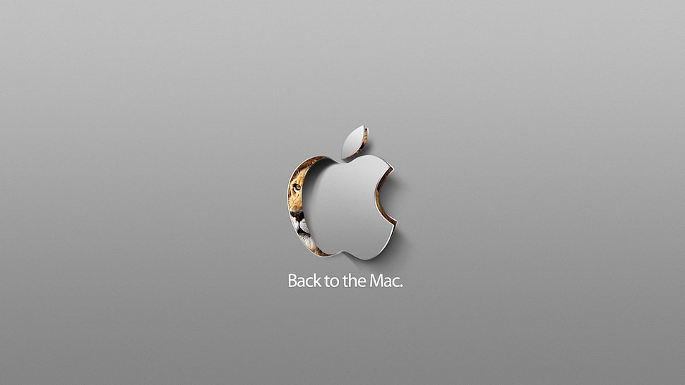gray Back to the Mac logo, Apple Inc. HD wallpaper