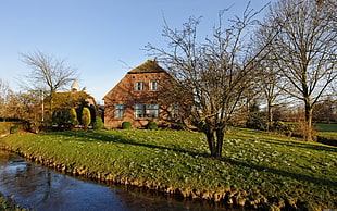brown house near river