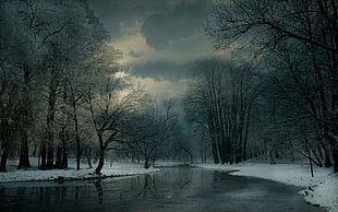 body of water, landscape, nature, winter, river HD wallpaper
