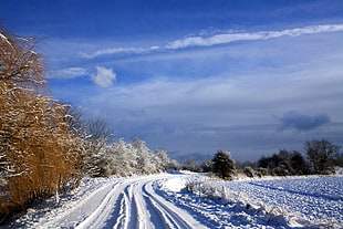 road field with snow at daytime