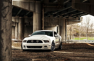 white coupe, car, Ford Carol Shelby GT500 HD wallpaper