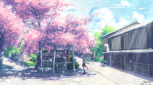 sakura tree near arch HD wallpaper