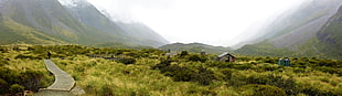 green bush, New Zealand, Mt Cook, mountains