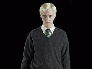Harry Potter Draco Malfoy illustration HD wallpaper