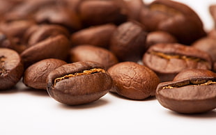 coffee beans in macro photography