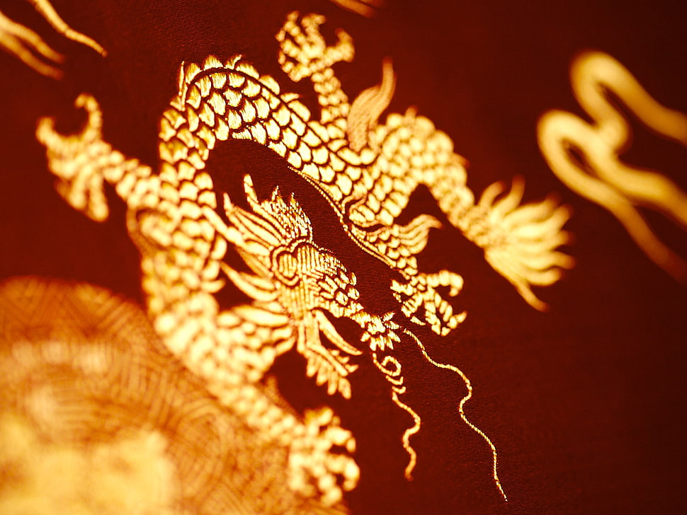 yellow and brown dragon sketch HD wallpaper