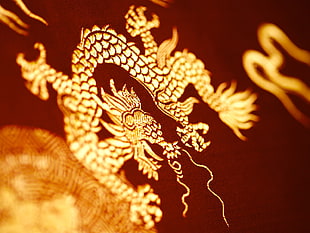 yellow and brown dragon sketch HD wallpaper