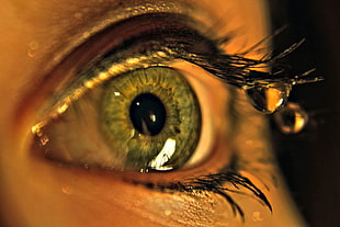 closeup photo of human eye with droplets