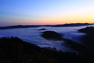 aerial photography of bed of clouds during day time
