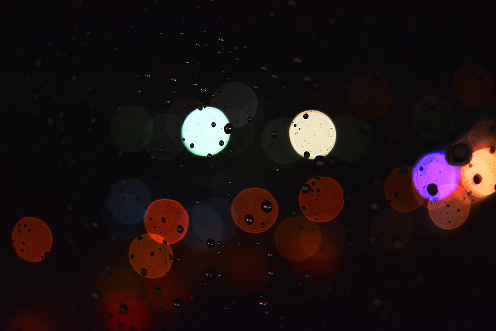 assorted-color bokeh light HD wallpaper