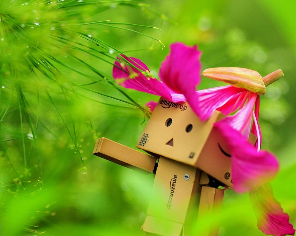 selective focus photography of Amazon cardboard box character with pink petaled flower hat wallpaper HD wallpaper