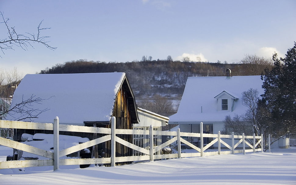 white wooden fence, winter, landscape HD wallpaper