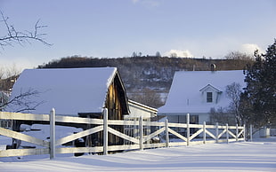 white wooden fence, winter, landscape