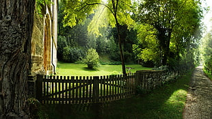 brown wooden fence, pathway, garden, trees HD wallpaper