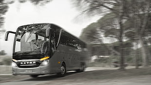 gray bus, Setra, coach, buses, selective coloring