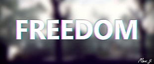 freedom text on gray background, blurred, motion blur, freedom, 3D