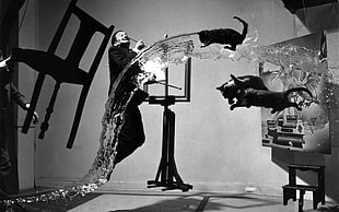 wooden chair, Salvador Dalí, monochrome, cat, abstract HD wallpaper