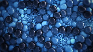 blue and black marbles digital wallpaper, abstract, 3D