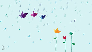 multicolored bird flying illustration HD wallpaper
