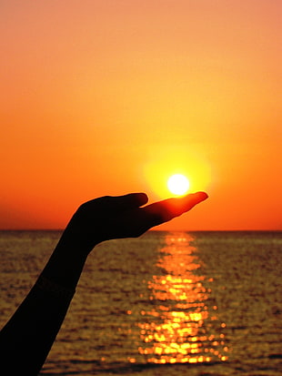silhouette of hand during sunset HD wallpaper