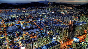 aerial photo of city buildings during night time