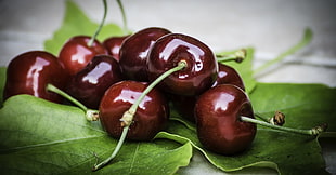 brown Cherry fruit